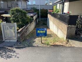 概観画像