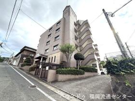 概観画像