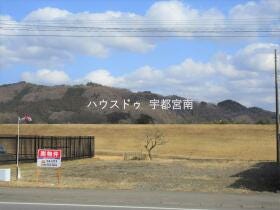 概観画像