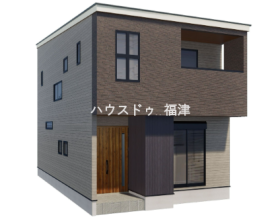 概観画像