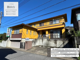 概観画像