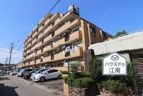 概観画像