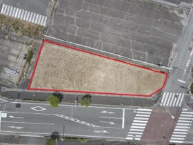概観画像