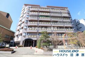 概観画像