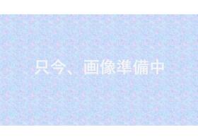 概観画像