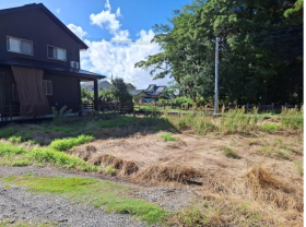 概観画像