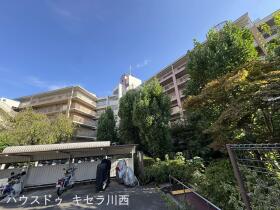 概観画像