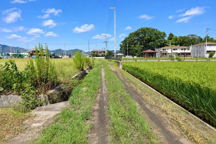※この画像はAI処理にて加工した写真です。