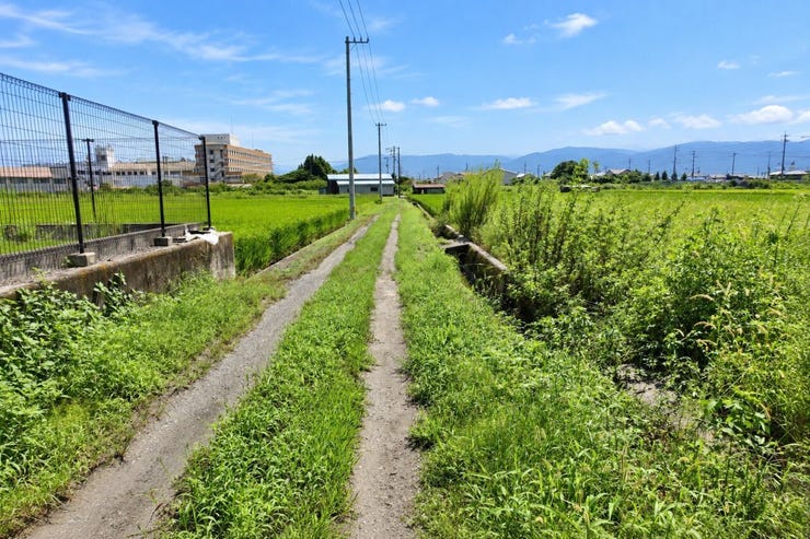 ※この画像はAI処理にて加工した写真です。