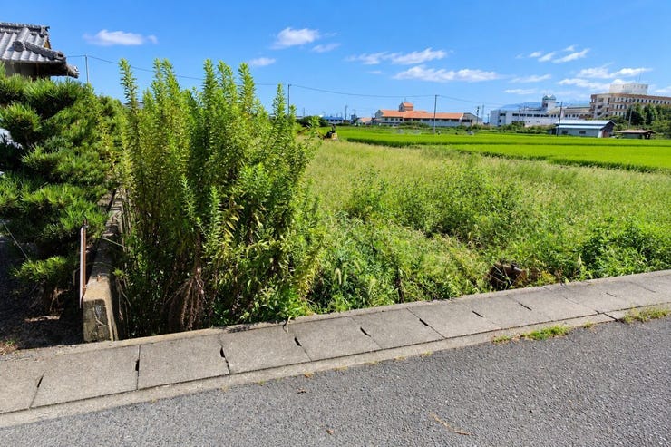 ※この画像はAI処理にて加工した写真です。