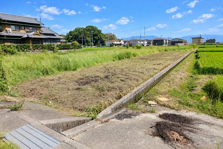 ※この画像はAI処理にて加工した写真です。