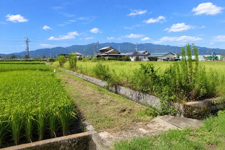 ※この画像はAI処理にて加工した写真です。