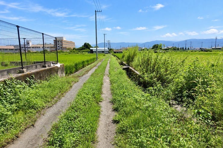 ※この画像はAI処理にて加工した写真です。