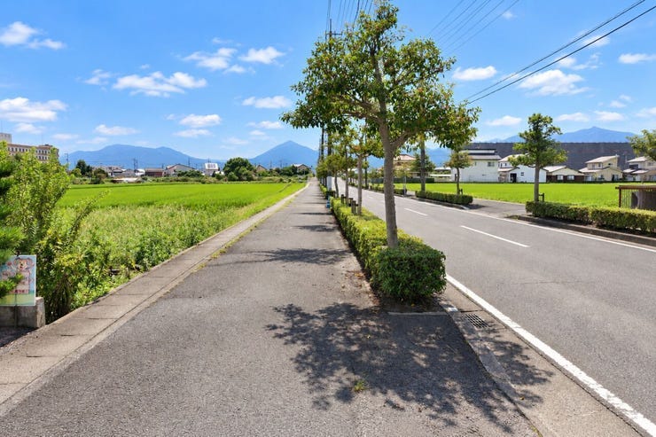 ※この画像はAI処理にて加工した写真です。