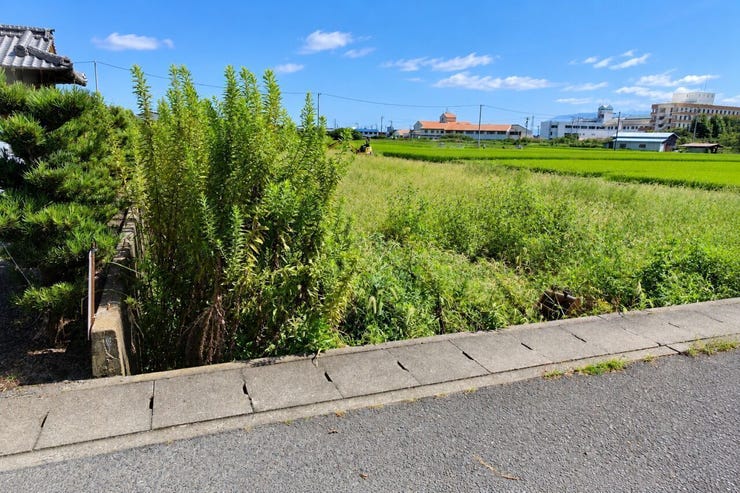 ※この画像はAI処理にて加工した写真です。