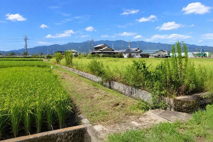 ※この画像はAI処理にて加工した写真です。