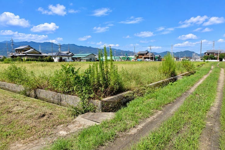 ※この画像はAI処理にて加工した写真です。