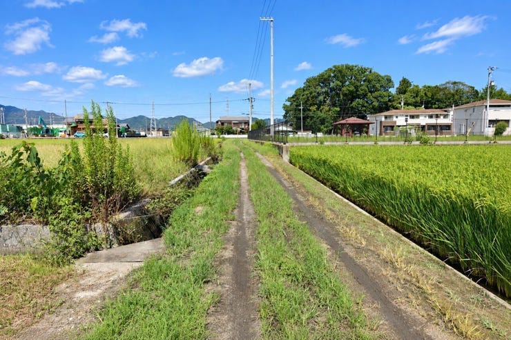 ※この画像はAI処理にて加工した写真です。
