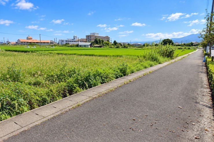 ※この画像はAI処理にて加工した写真です。