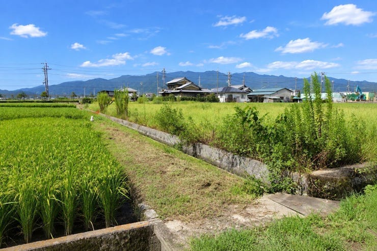 ※この画像はAI処理にて加工した写真です。