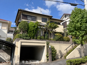 概観画像