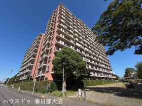 概観画像