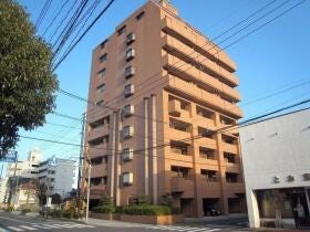 概観画像