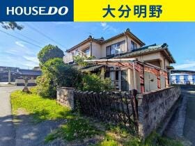 概観画像