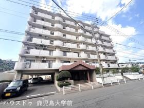 概観画像