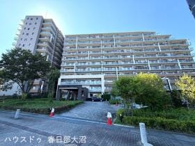 概観画像