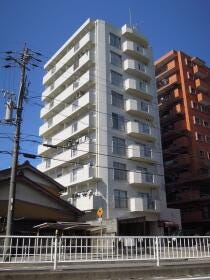 概観画像