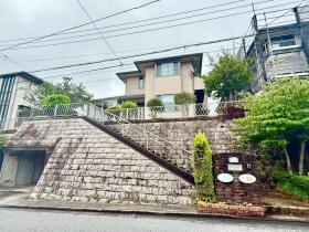 概観画像