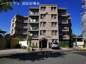 概観画像