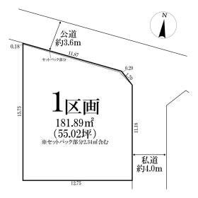 概観画像