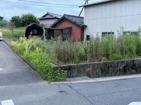 概観画像