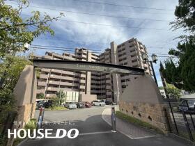 概観画像