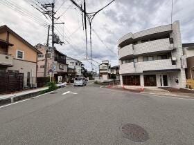 概観画像