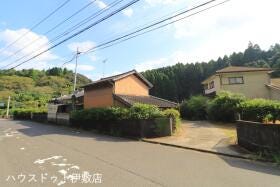 概観画像