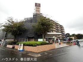 概観画像