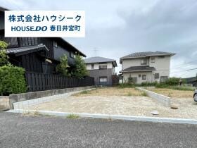 概観画像