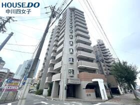 概観画像