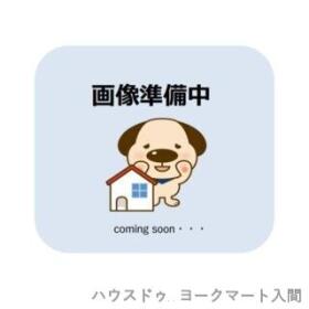 概観画像