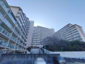 概観画像