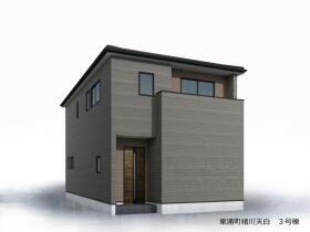 概観画像
