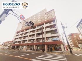 概観画像