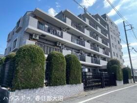 概観画像