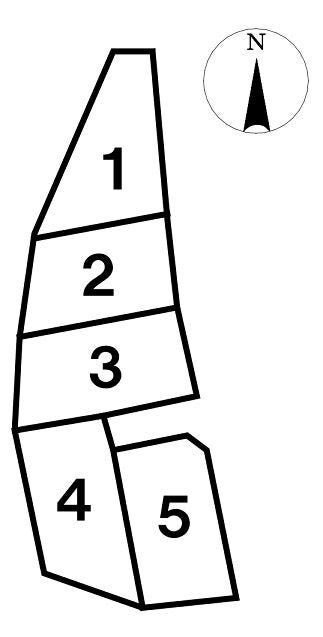 【区画割り画像】
