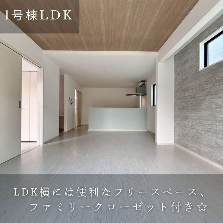 フォトギャラリー画像1