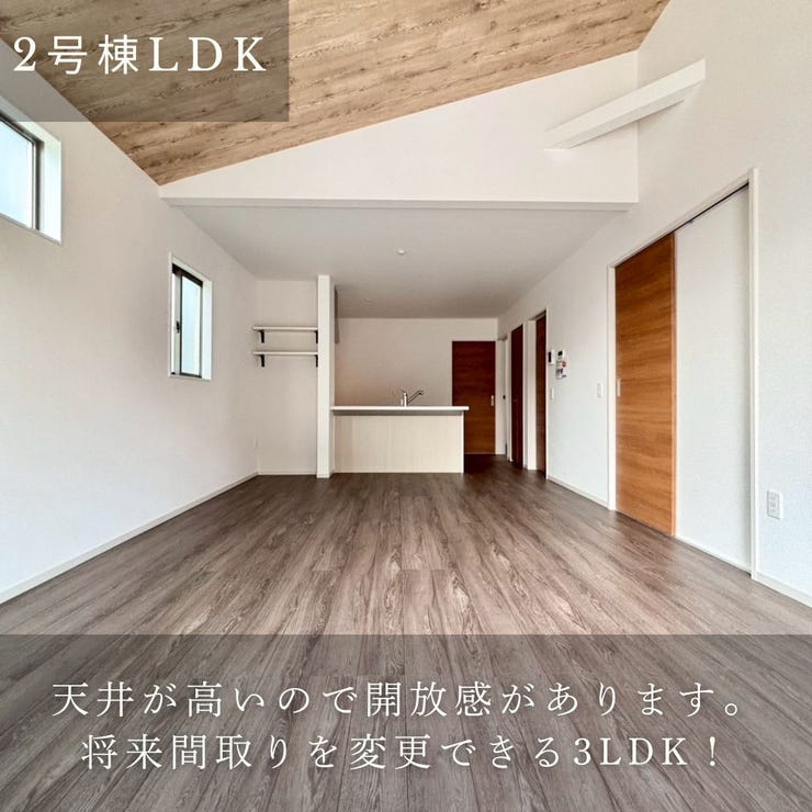 フォトギャラリー画像2