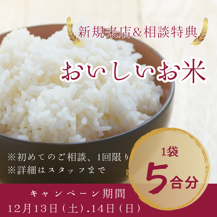 フォトギャラリー画像2